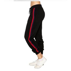 Velvet By Graham and Spencer Dior Stripped Jogger Pants Medium